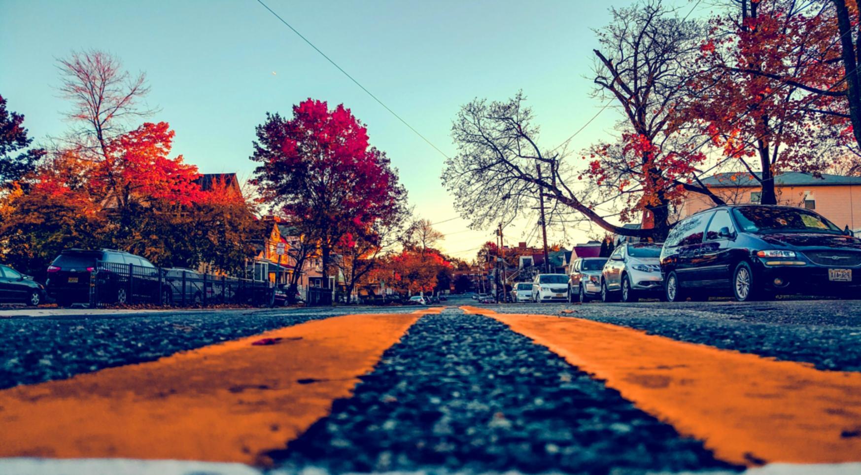 International students learning safari planning and wildlife conservation techniques in outdoor training environment