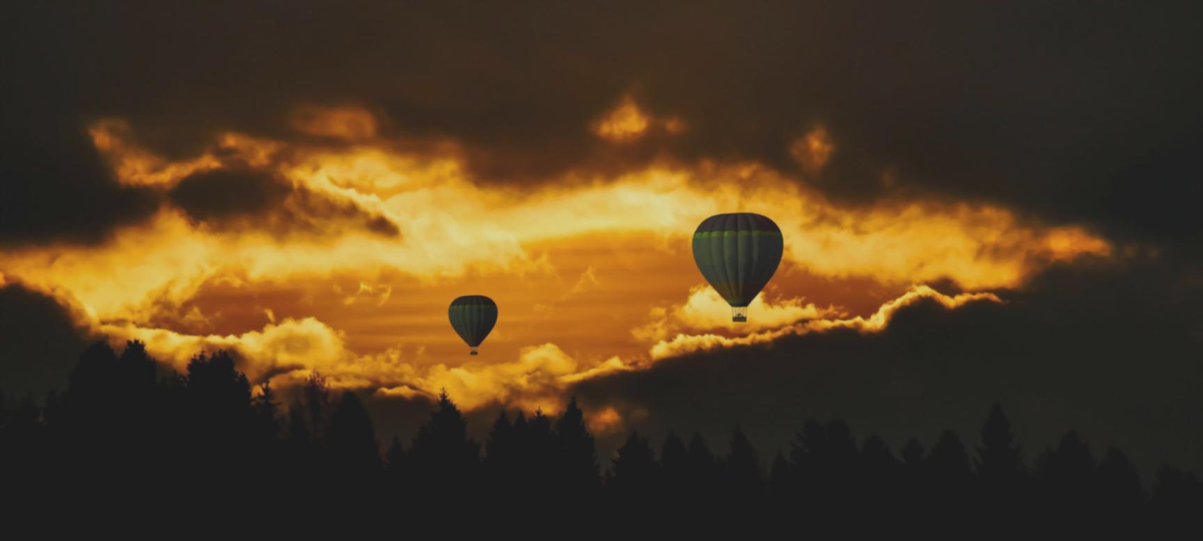 Safari vehicle in wilderness landscape