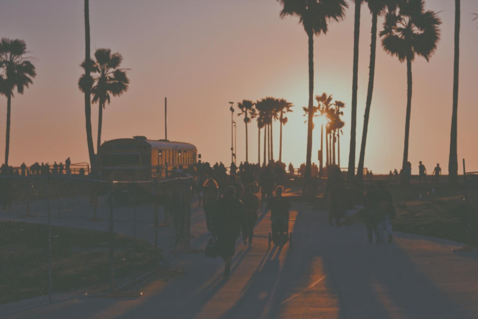 Wilderness camp setup at dawn